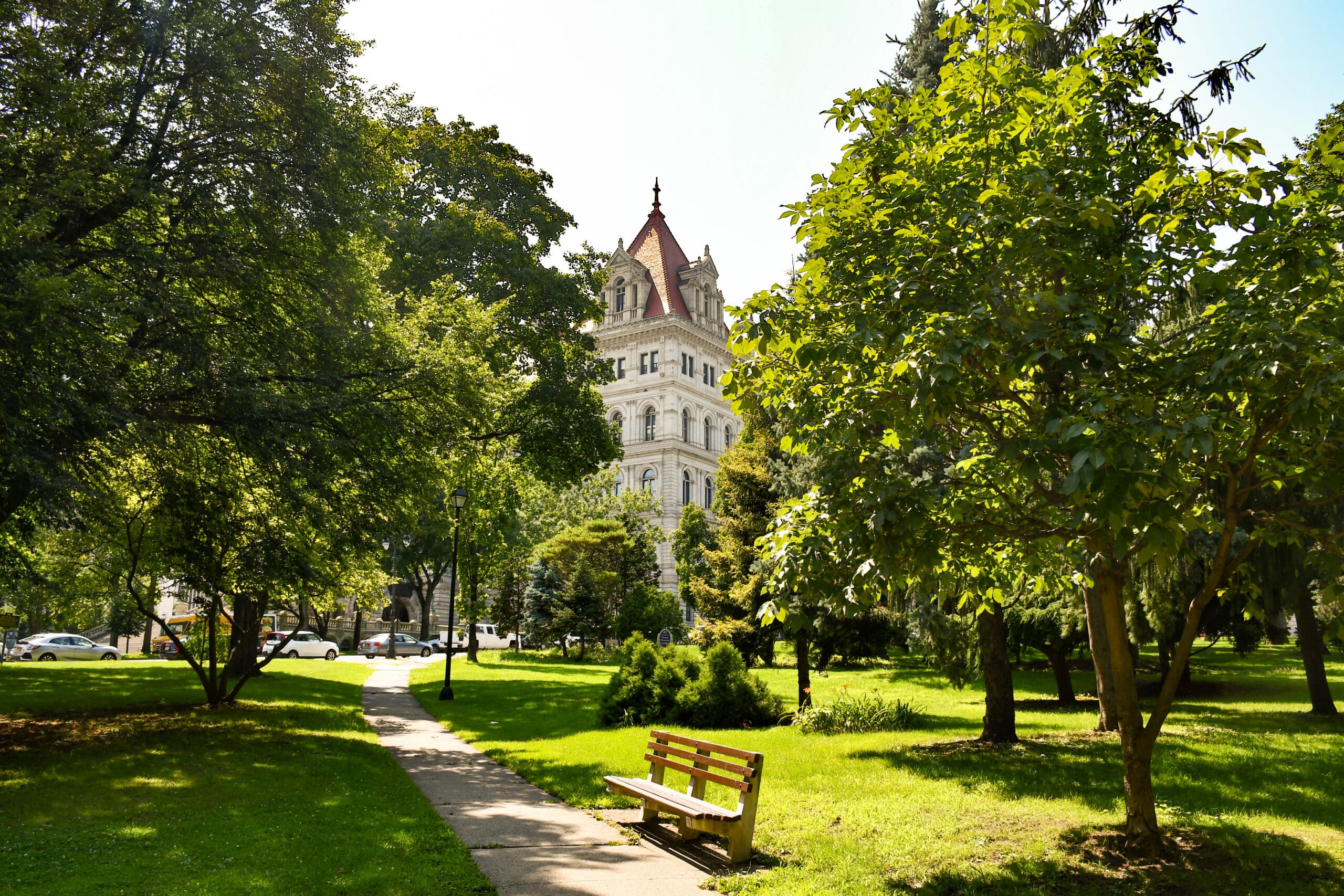 Tree-lined footpath in a park in Albany, New York